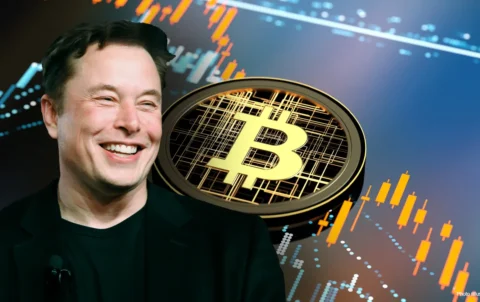 Elon-Musk-Bitcoin-2