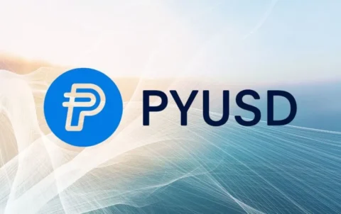 paypalstablecoinlead
