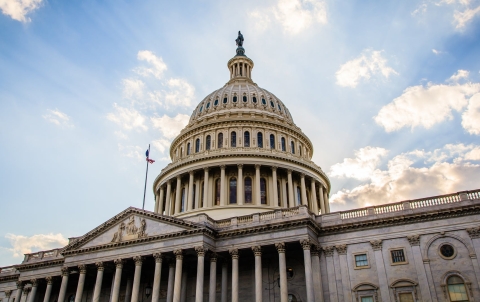 us-capitol-legislative-branch-gettyimages-936281826
