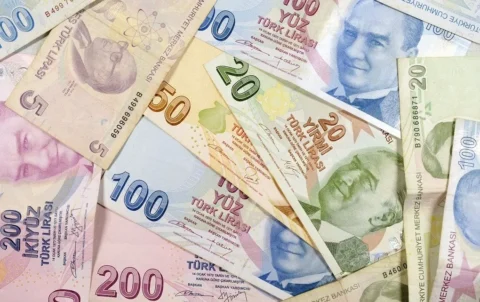 تحلیل بانک آمریکا: تغییر ساختاری در حساسیت لیر ترکیه به نوسانات ارزی رخ داده است!
